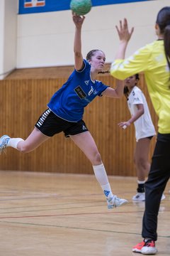 Bild 214 - wBJ TSV Ellerau - SV Fehmarn : Ergebnis: 27:20